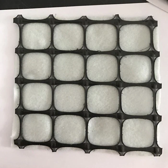 Combined Geogrid with Geotextile 3